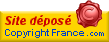 logo Copyrighe France, page accueil